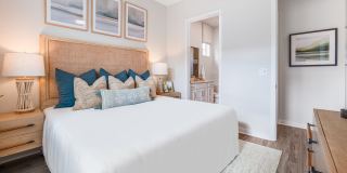 Yardly Eden Gallery 4