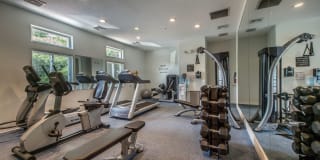 Katahdin Woods Gallery 4