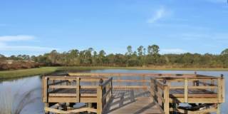 607 BLIND OAK Circle Gallery 31