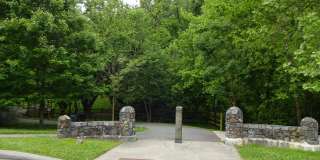 246 Montford Ave Gallery 26