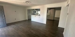 8117 Princess Jeanne Ave Gallery 3
