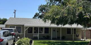 404 Shady Lane Gallery 1