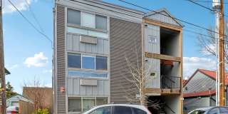 The Ripple Gallery 1