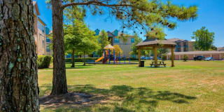 Lake Forest Gallery 14