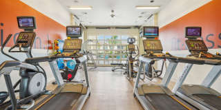 Springs at Gulf Coast Gallery 62