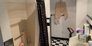 Beautiful 2 bed unit located next to Northeastern. Gallery 11