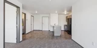 Cherry Creek Village Gallery 3