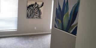 Verena at Cypresswood Gallery 38