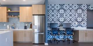 Canter Chase Gallery 13