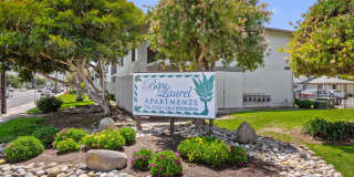 Bay Laurel Gallery 1