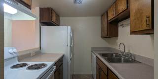 Pepper Tree Gallery 1