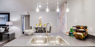 Central Park Gallery 13