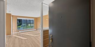 Brand New Studio with your Own Patio and Morning Sunlight! Brand New Studio with your Own Patio and Morning Sunlight! Gallery 1