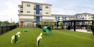 Ironwood at Waldorf Station Gallery 23