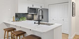 Novi at Queen Anne Gallery 12