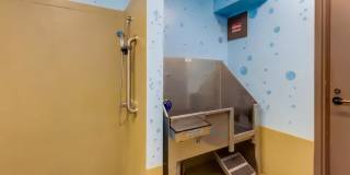 Ballard Public Gallery 14