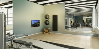 Solstice on the Park Gallery 10