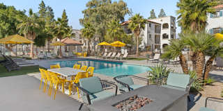 Solas Glendale Gallery 3