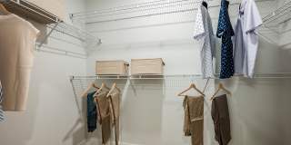 Arcadia 331 Gallery 38