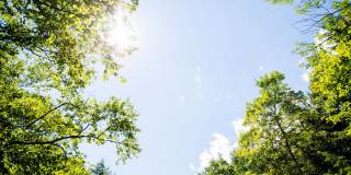 The Davenport Gallery 30