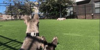 The View at Old City Gallery 30