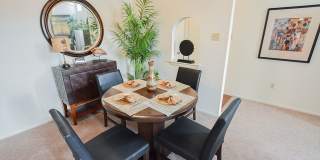 Chestnut Creek Gallery 6