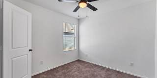 332 Elephants Ear Gallery 17