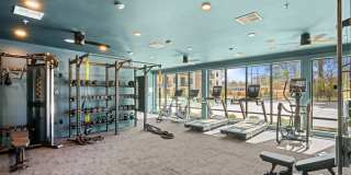 The Canopy Gallery 31