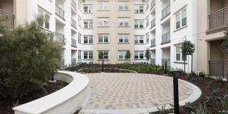 Senior Housing- Palmia, Age 55+ Luxury Apartments Gallery 33