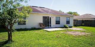 11542 WANDERING PINES Trail W Gallery 17