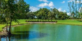 9523 S Hollybrook Lake Drive Gallery 38