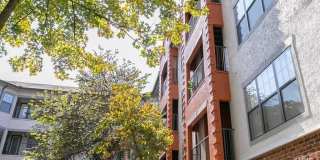 Highland Walk Gallery 28