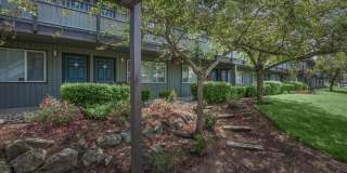 Midtown 15 Gallery 21