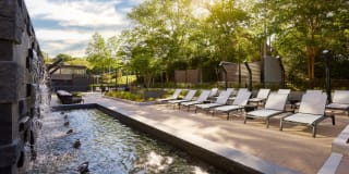 Park + Ford Apartments Gallery 3