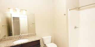 The Elysian Gallery 246