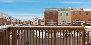 10606 Alice Mae Court Gallery 23