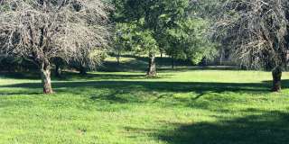 3 Bedroom, 2 Bath, All Brick Home, Mt. Juliet Schools Gallery 1