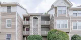 6768 Willowbrook Drive unit: 8 Gallery 1