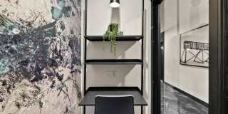 Stellar Gallery 13