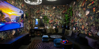 Alexan Camellia Gallery 12