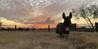 5824 E Montgomery Road Gallery 1