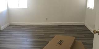 4437 Newsom Cir Gallery 10
