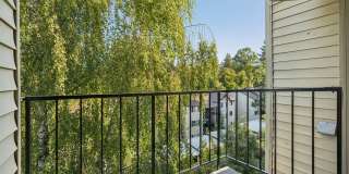 Miramonte Lodge Gallery 10