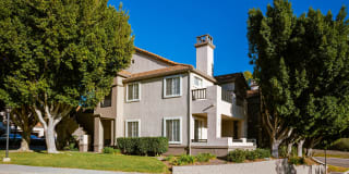 Deerwood Gallery 12