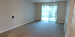 Chelan Gallery 26