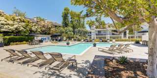 Harbor Pointe Apartments Gallery 2