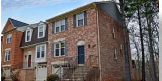 7833 PAINTED DAISY Drive Gallery 1