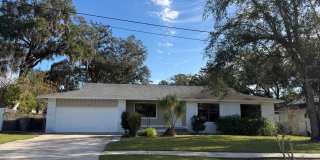 575 LAKE MCCOY DRIVE Gallery 1