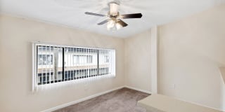 Copeland Village Gallery 19