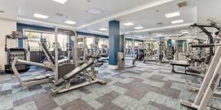 Sofi Lyndhurst Gallery 14